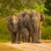 Karnataka Tourism to participate in TTF Mumbai 2026
